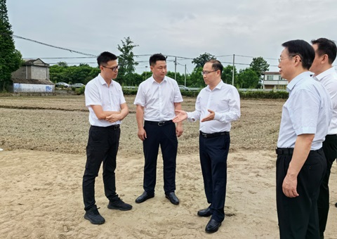 胡云赴眉山调研耕地；；；；；；；だ煤透弑曜寂┨锝ㄉ韫ぷ