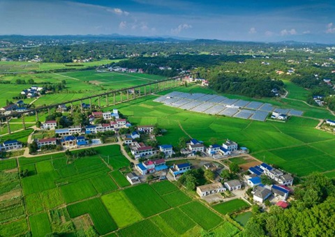 湖南：靶向发力盘活存量土地资产<br>为206家机关企事业单位定制处置方案，，，，，，，，盘活土地2.6万亩