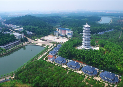 湖北：用好“一张图” ，，，，，，，，智治有支撑